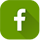 Facebook Icon