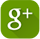Google+ Icon
